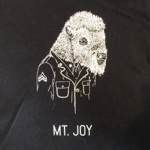 Mt. Joy concert tee